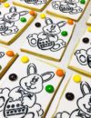 Paint Your Own PYO Cookies - easter bunny